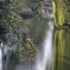 fluss im frühling