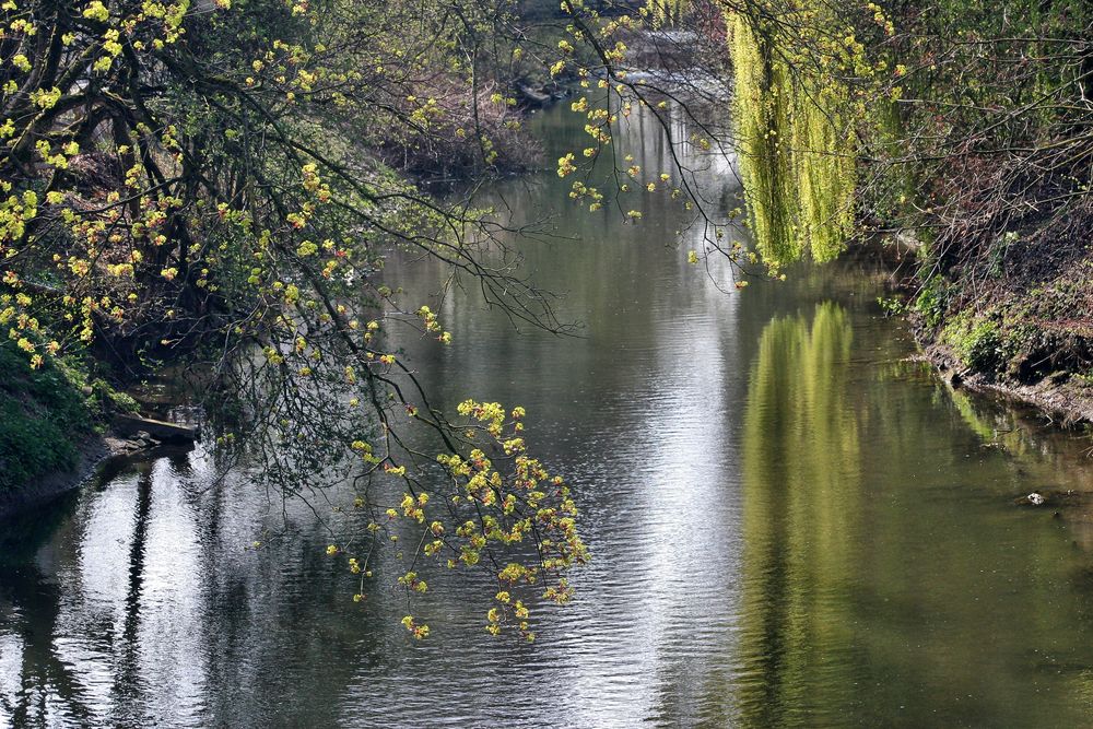 fluss im frühling