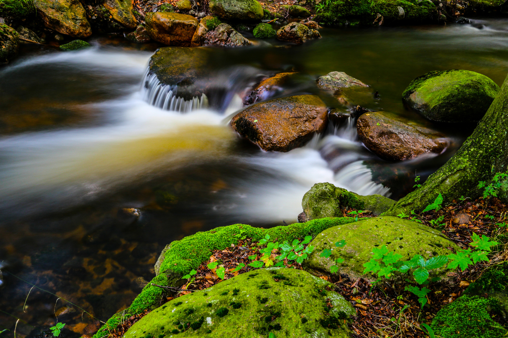 Fluss im Harz