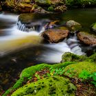 Fluss im Harz