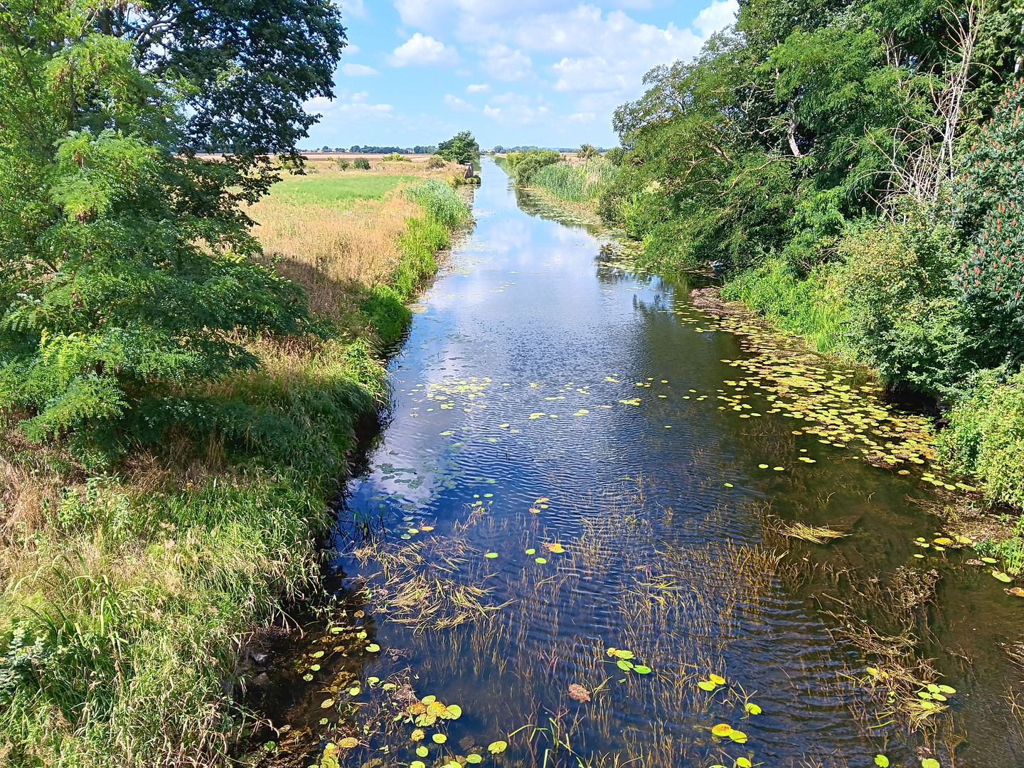 Fluss im Havelland