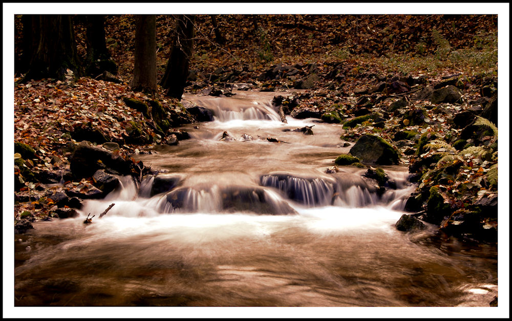 Fluß im Herbst