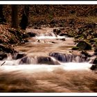 Fluß im Herbst