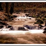 Fluß im Herbst