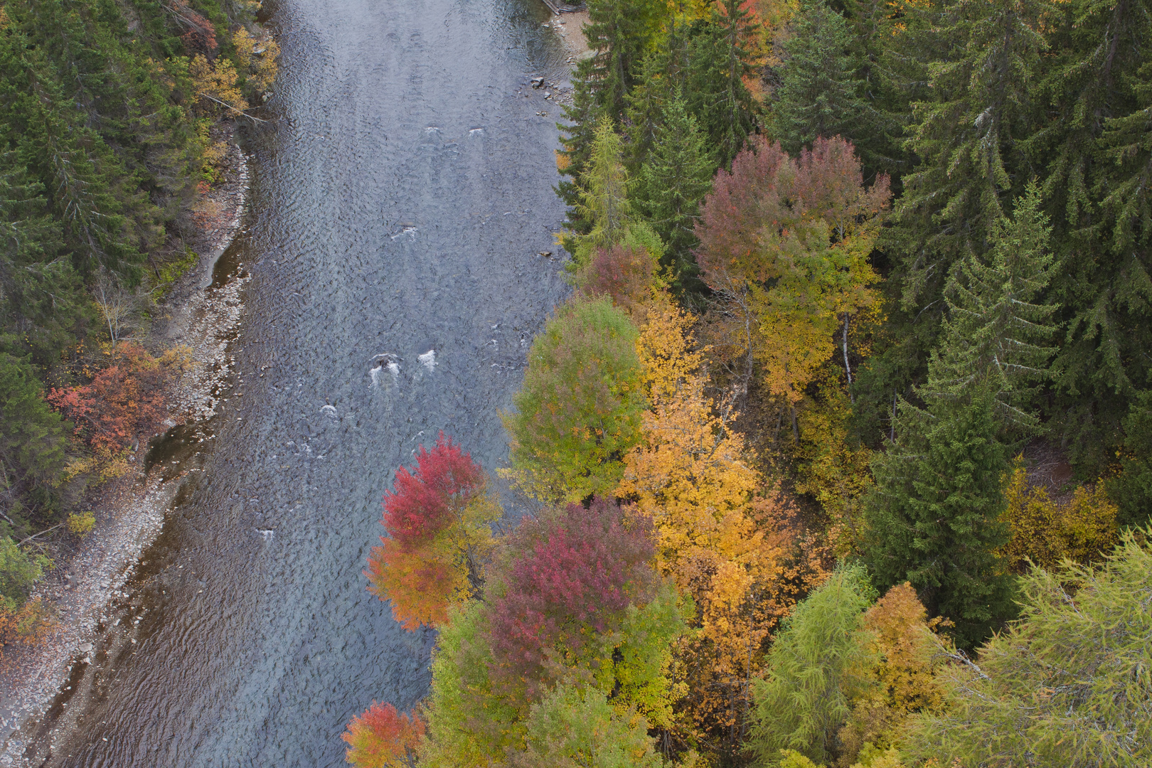 Fluss im Herbst