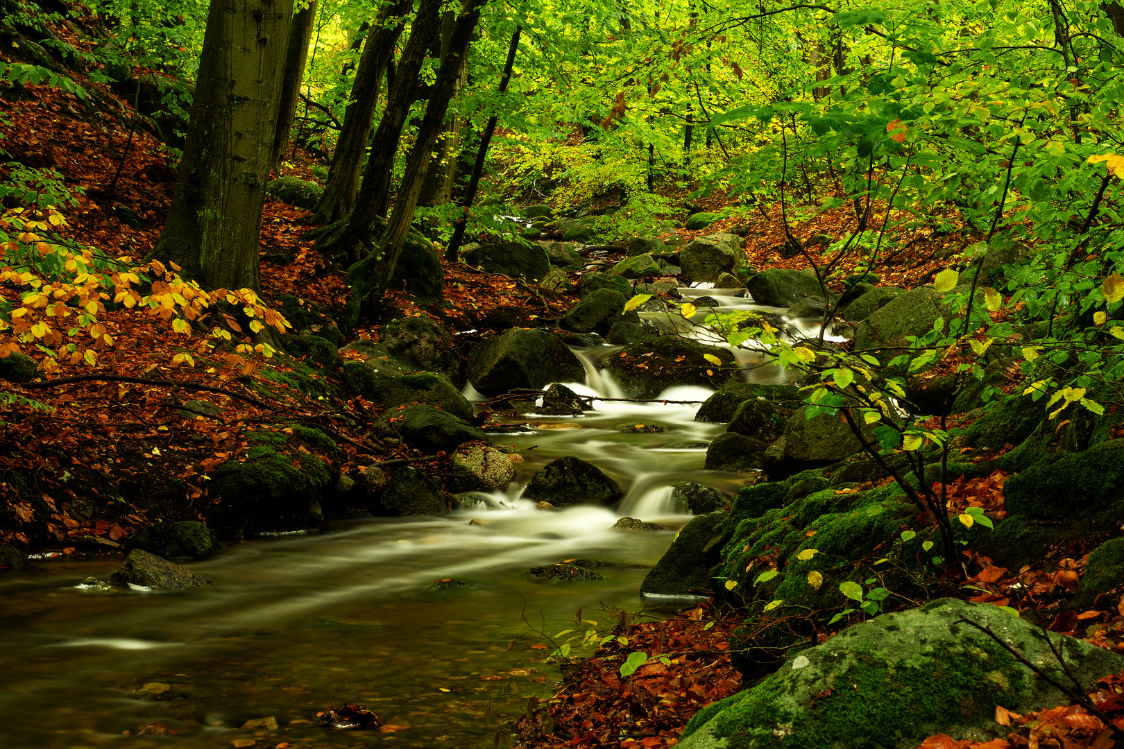 Fluss im Herbst Kopie
