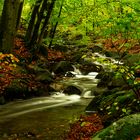 Fluss im Herbst Kopie