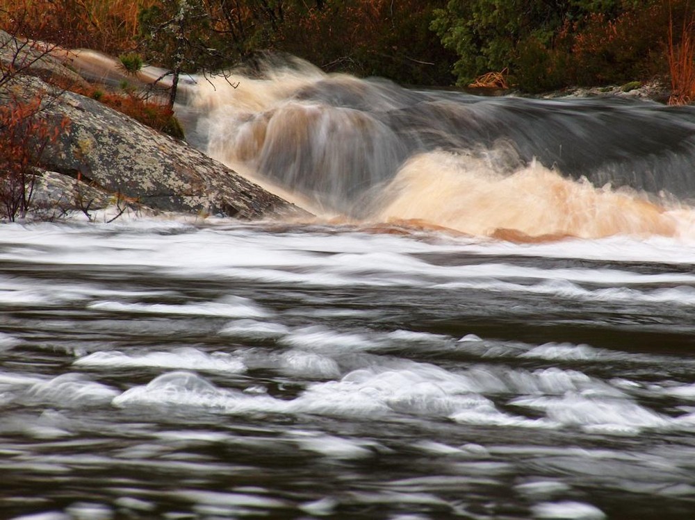 Fluss im herbstlichen Schweden