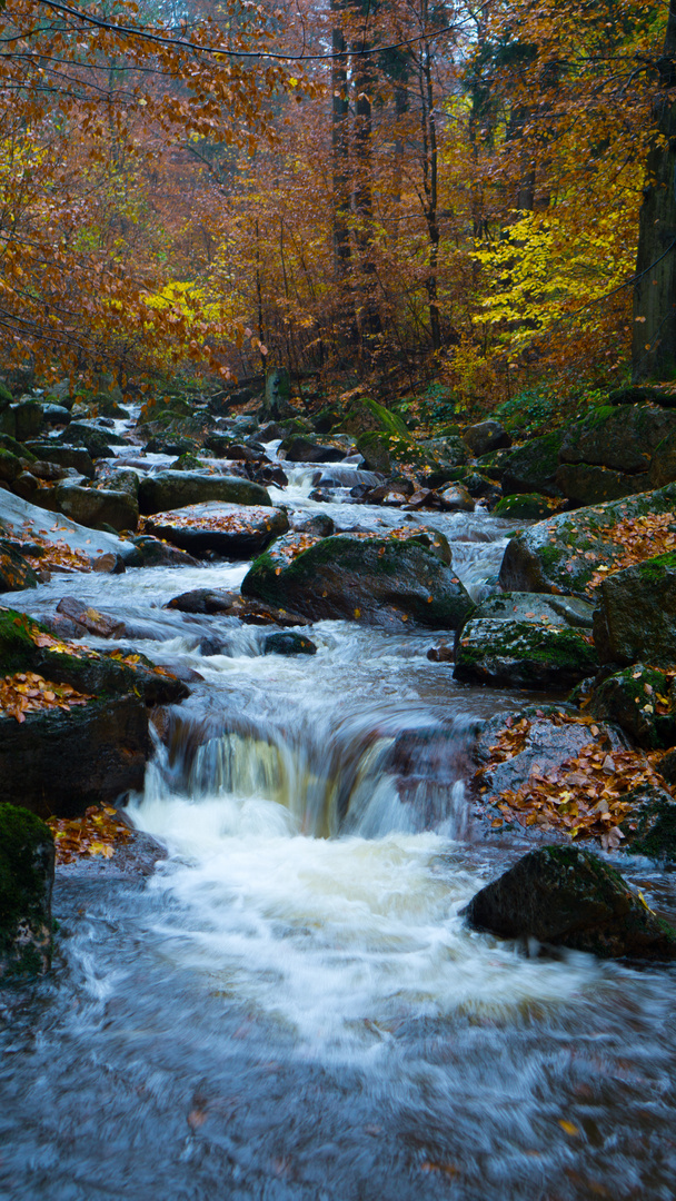 Fluss im Ilsetal