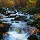 Fluss im Ilsetal