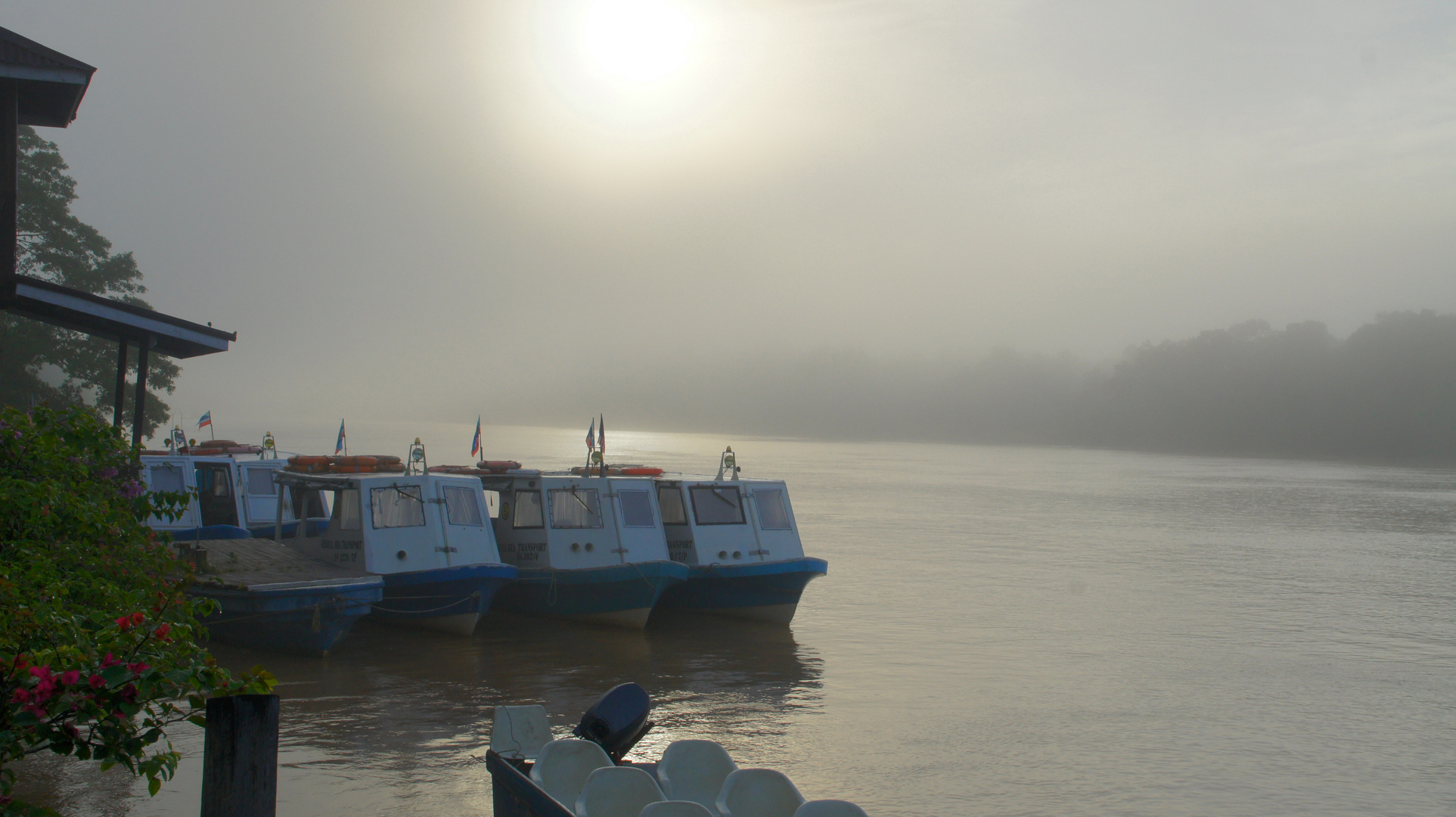 Fluss im Morgennebel