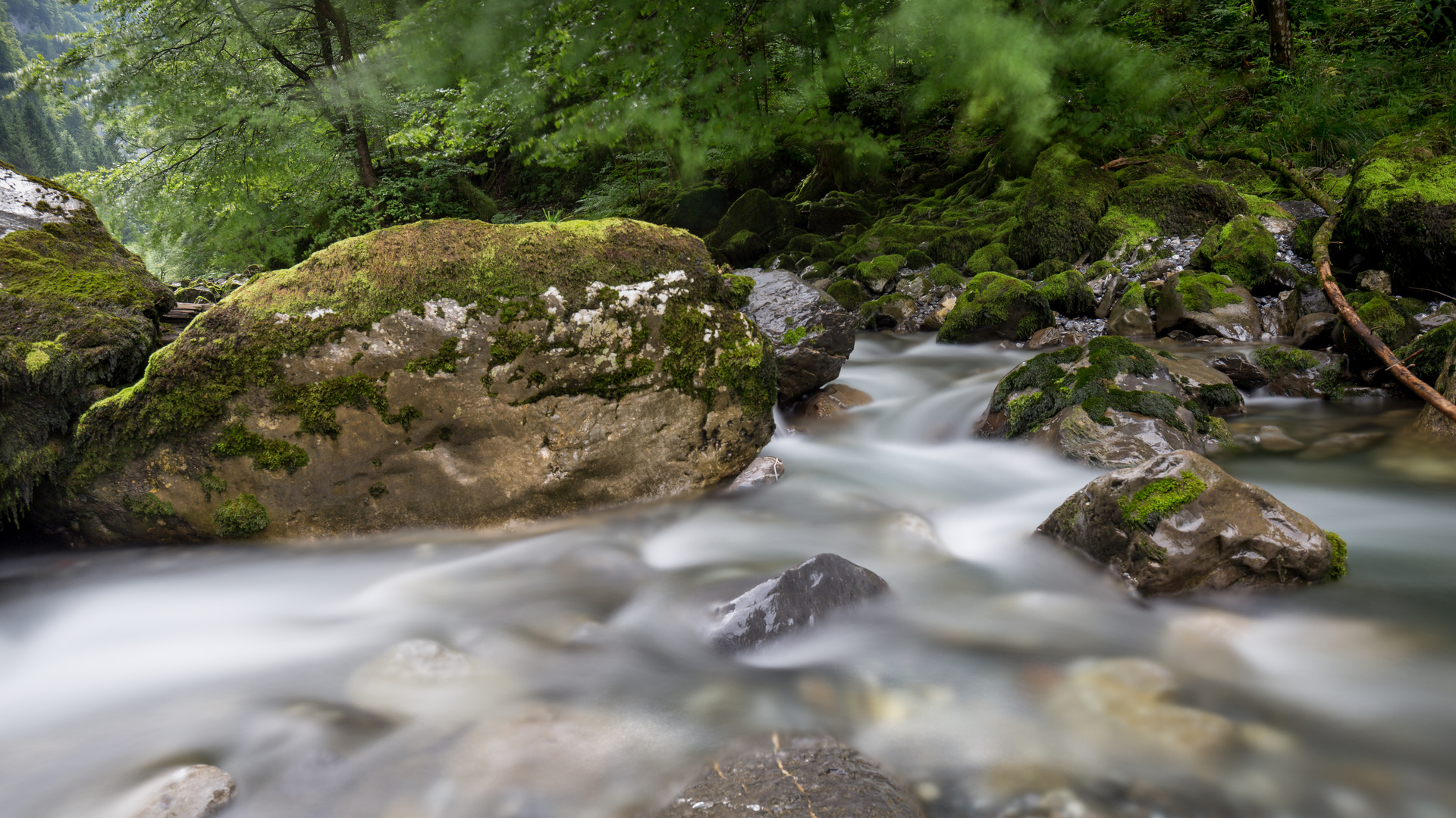 Fluss im Muotathal