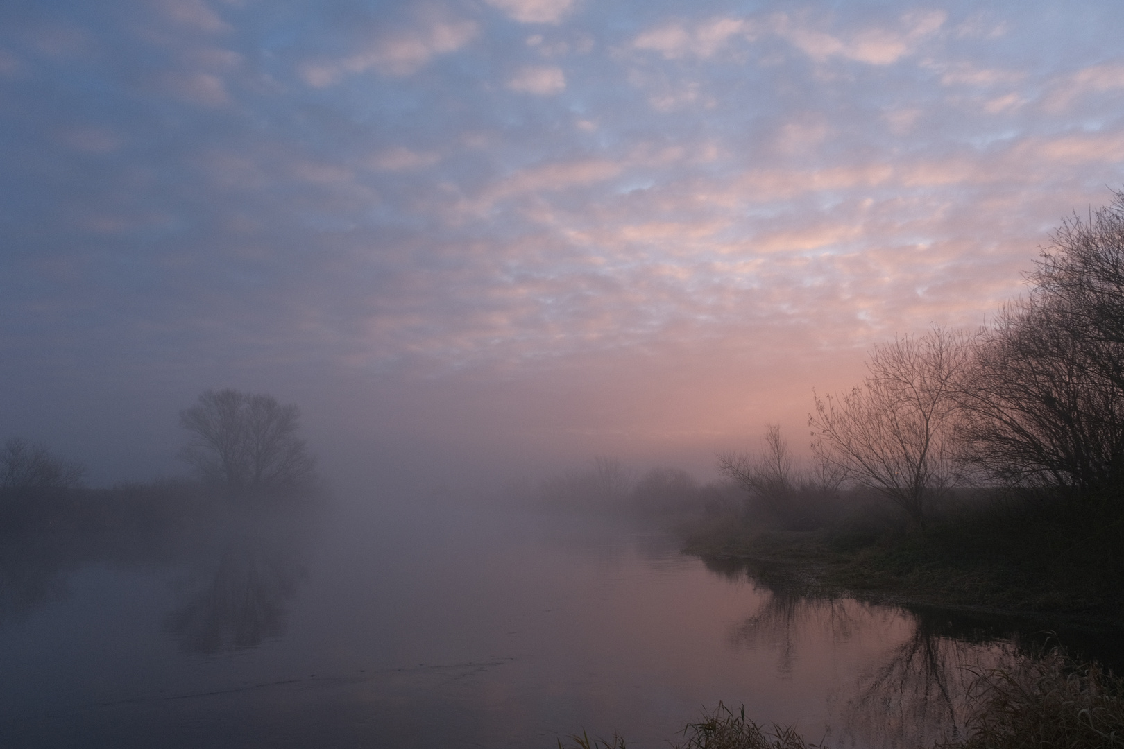 Fluss im Nebel