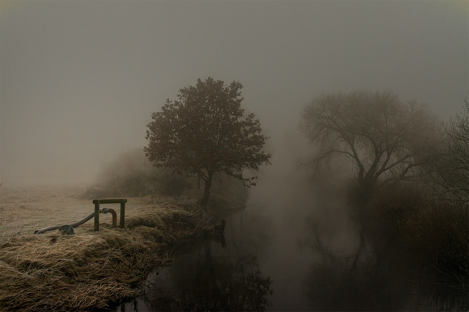 Fluss im Nebel