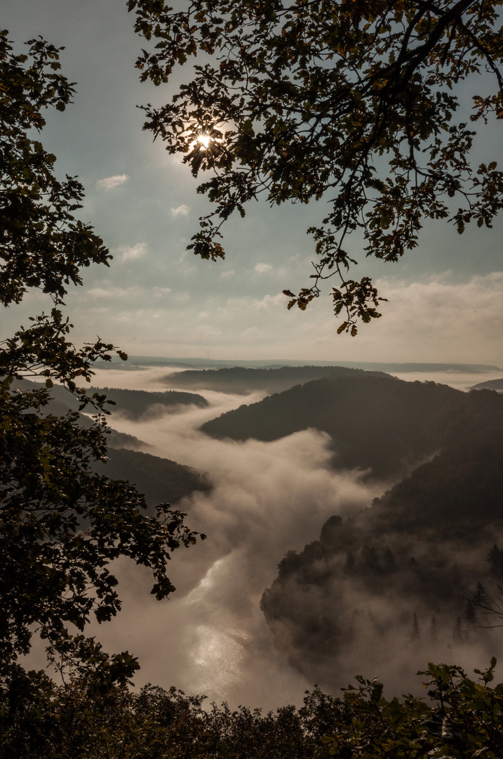 Fluss im Nebel