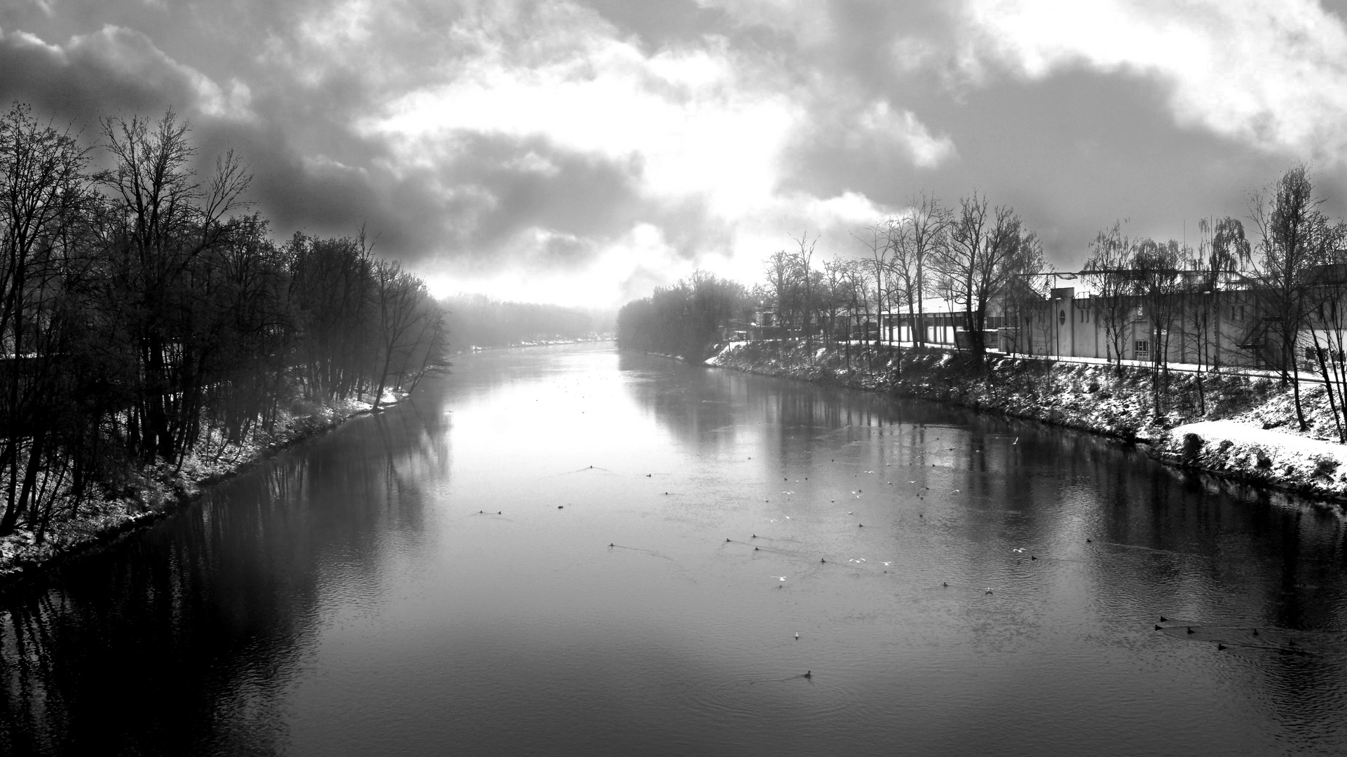 Fluss im Nebel