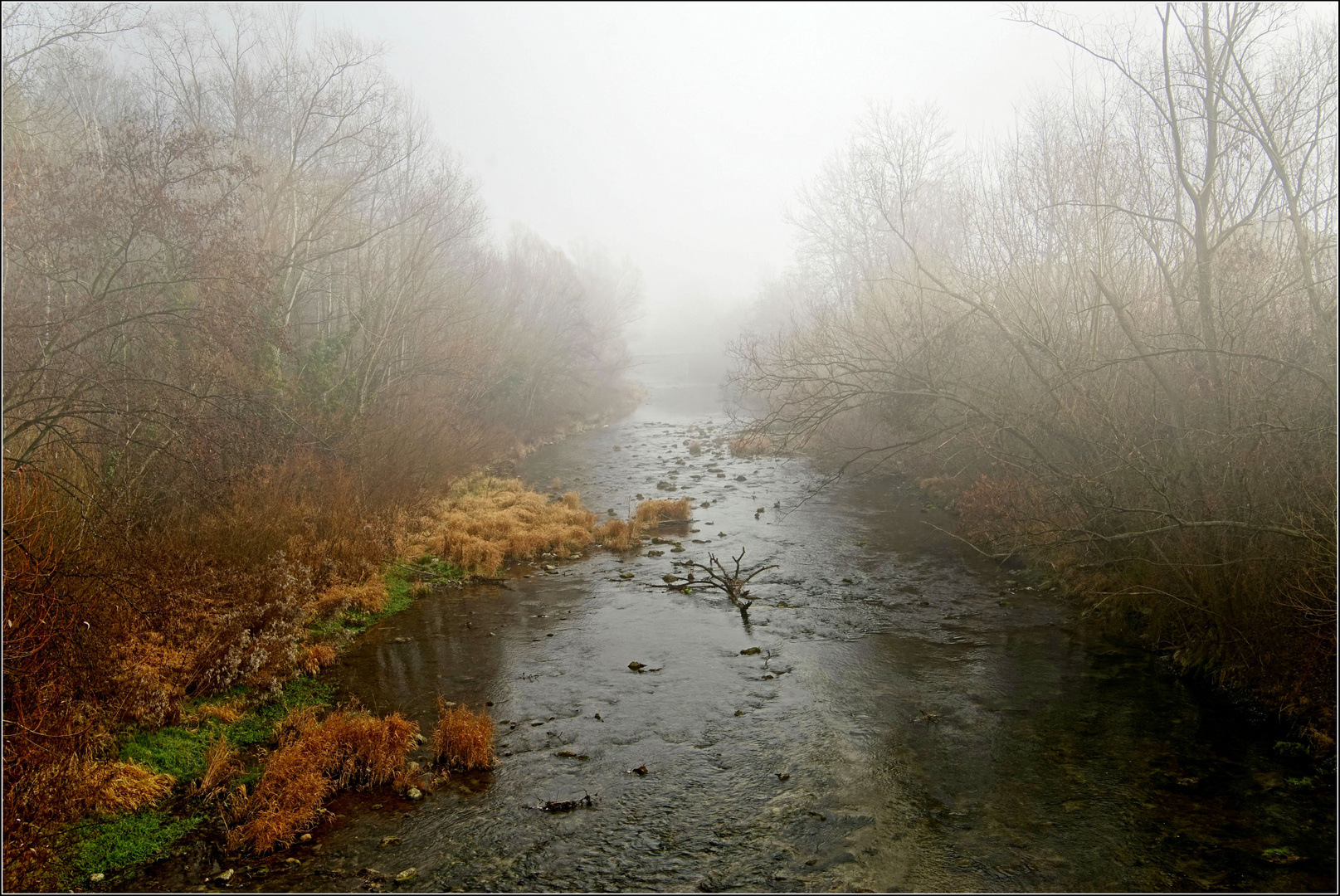 fluss im nebel