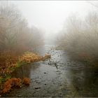 fluss im nebel