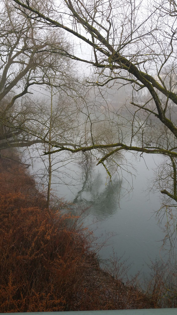 Fluss im Nebel