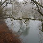 Fluss im Nebel