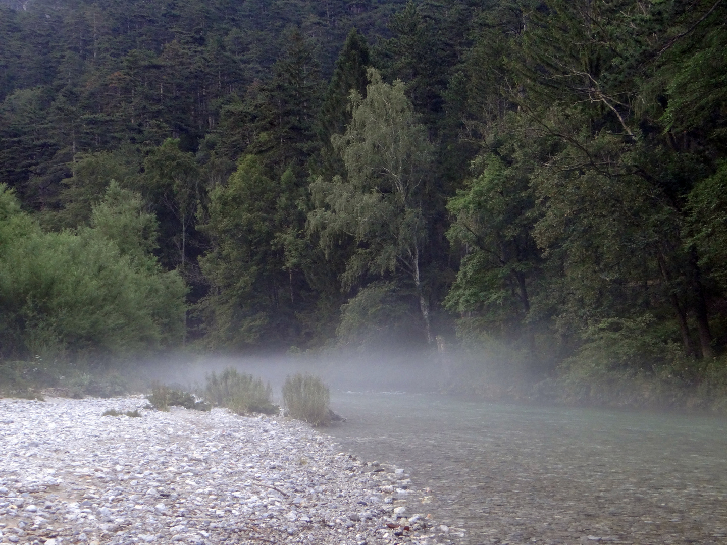 Fluß im Nebel