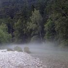Fluß im Nebel