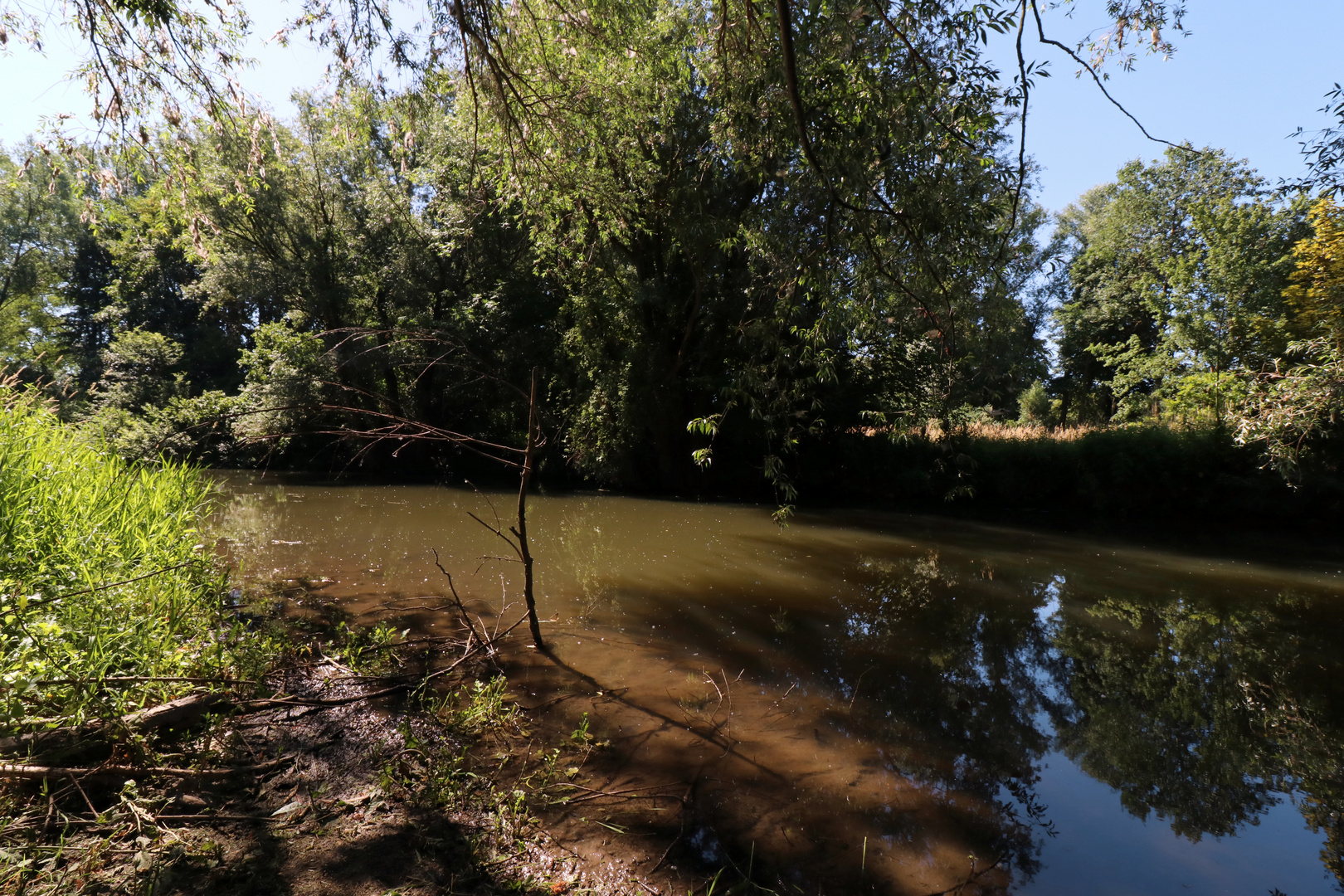 Fluss im Sommerlicht