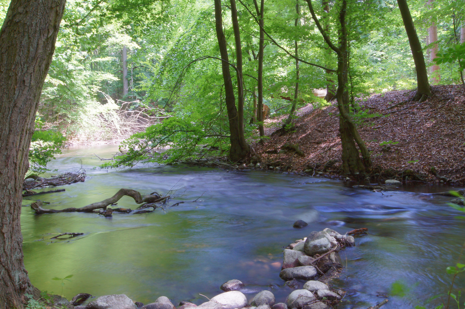 Fluß im Urwald