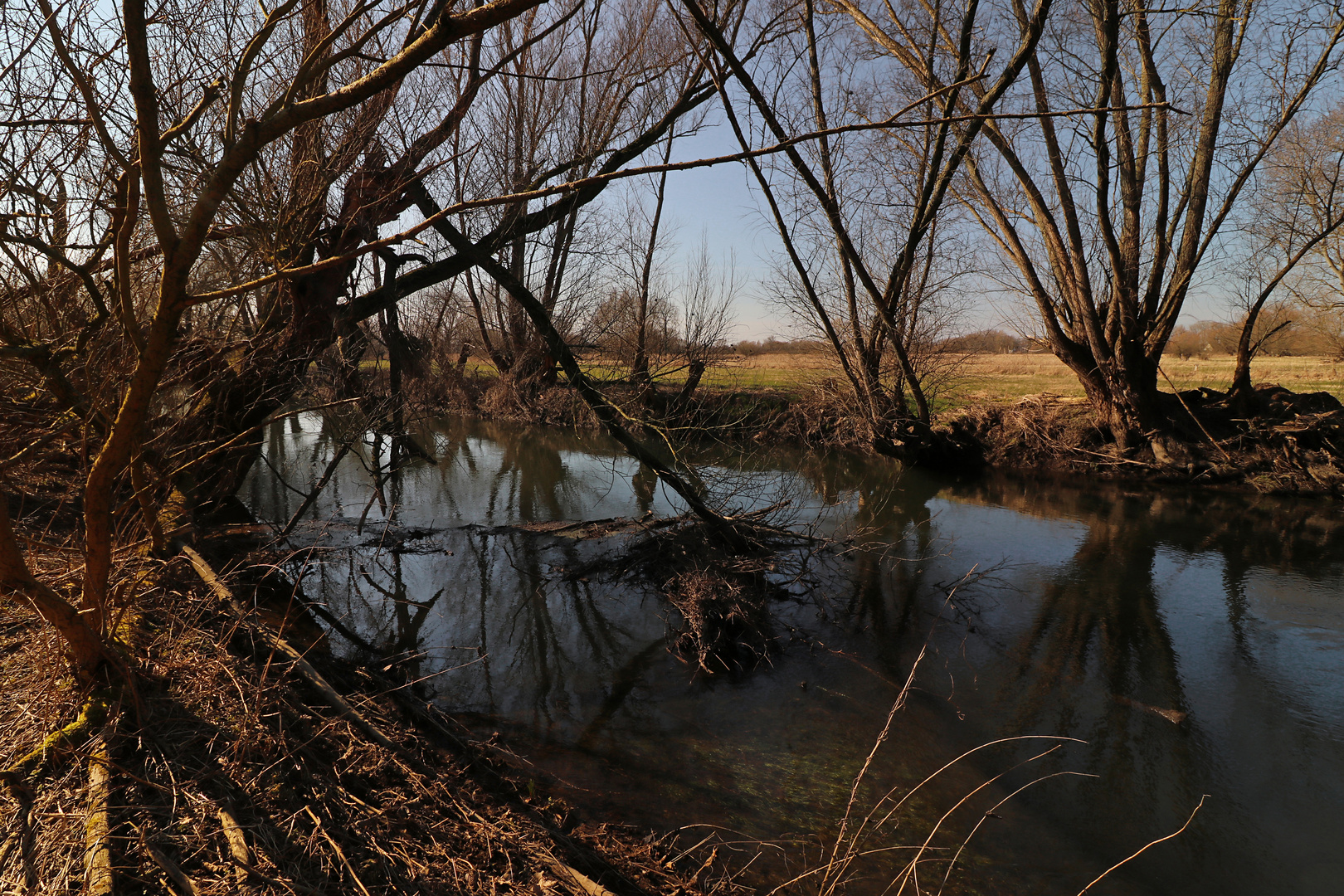 Fluss im Vorfrühling