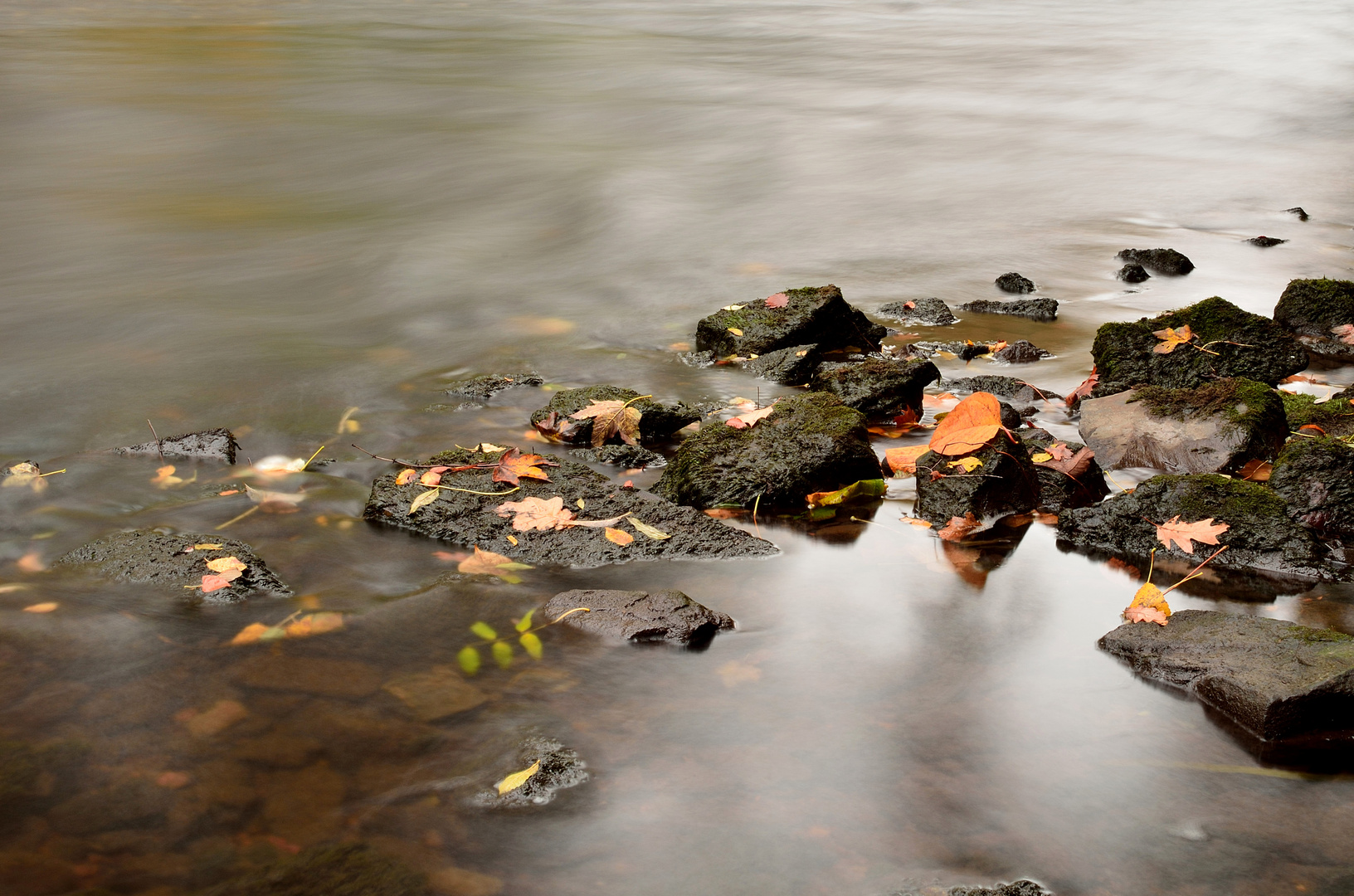 Fluss im Wald