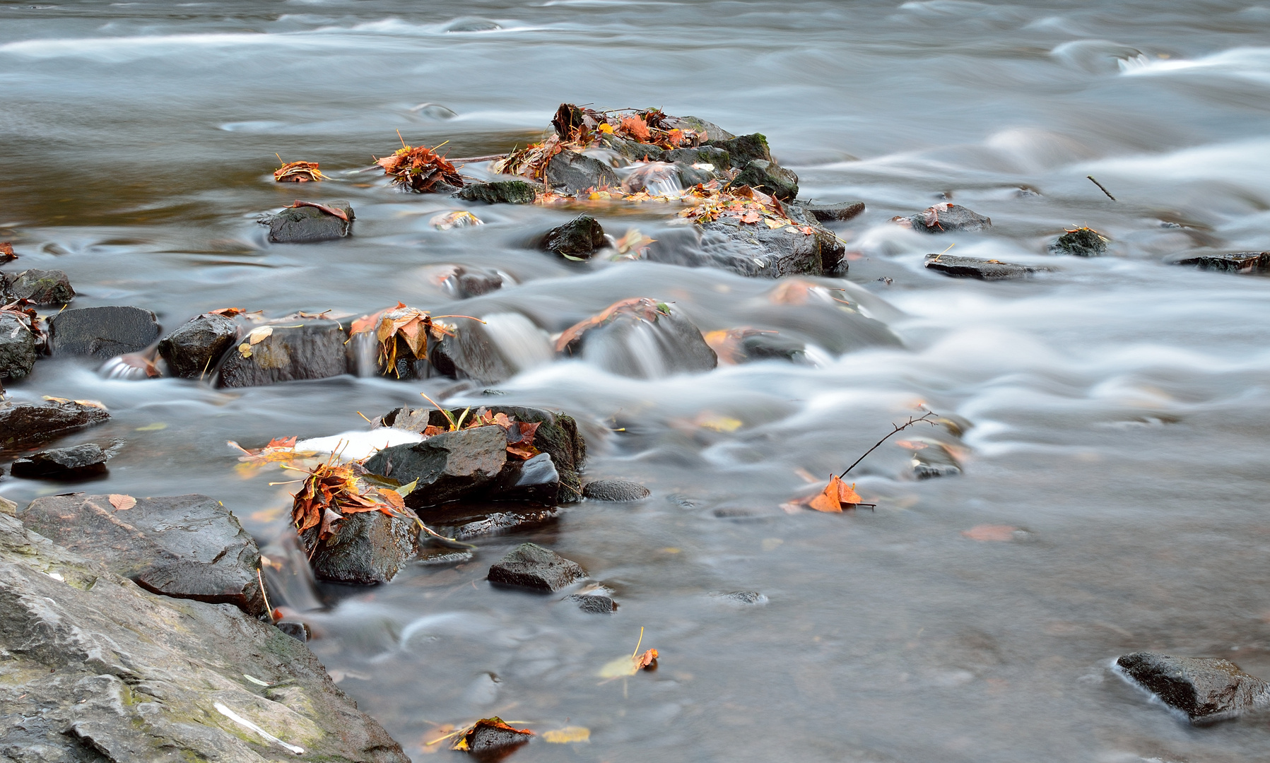 Fluss im Wald