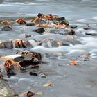 Fluss im Wald