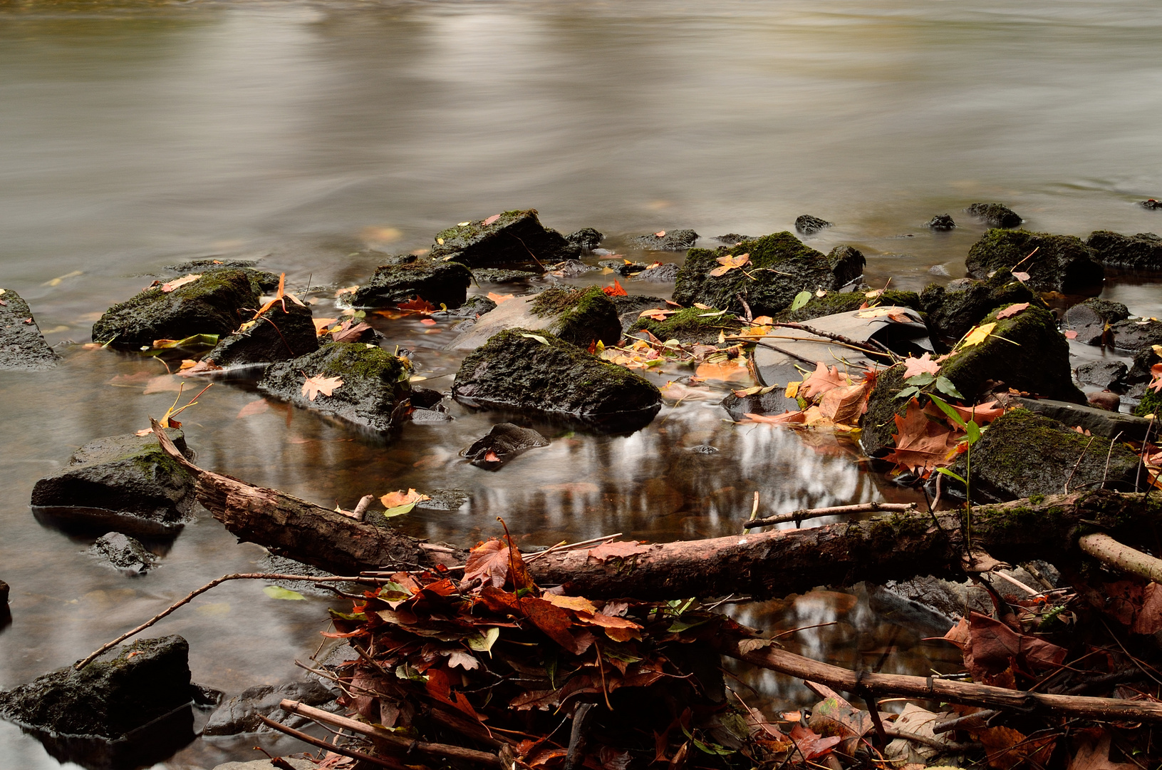 Fluss im Wald