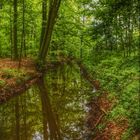Fluss im Wald HDR