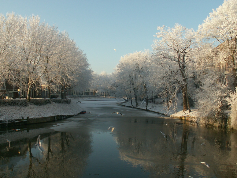 Fluss im Winter...