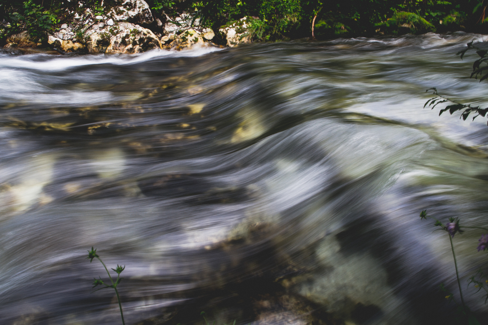 Fluss in Bewegung