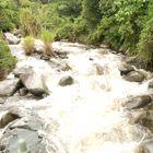 Fluss in Costa Rica