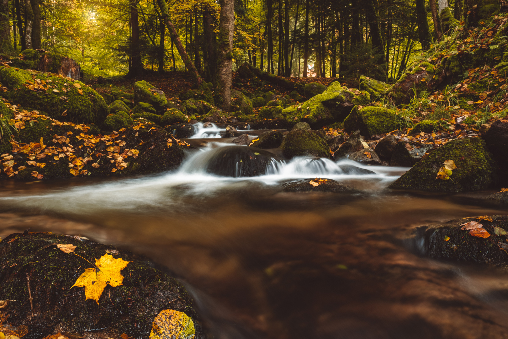 Fluss in den Vogesen im Herbst