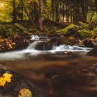 Fluss in den Vogesen im Herbst