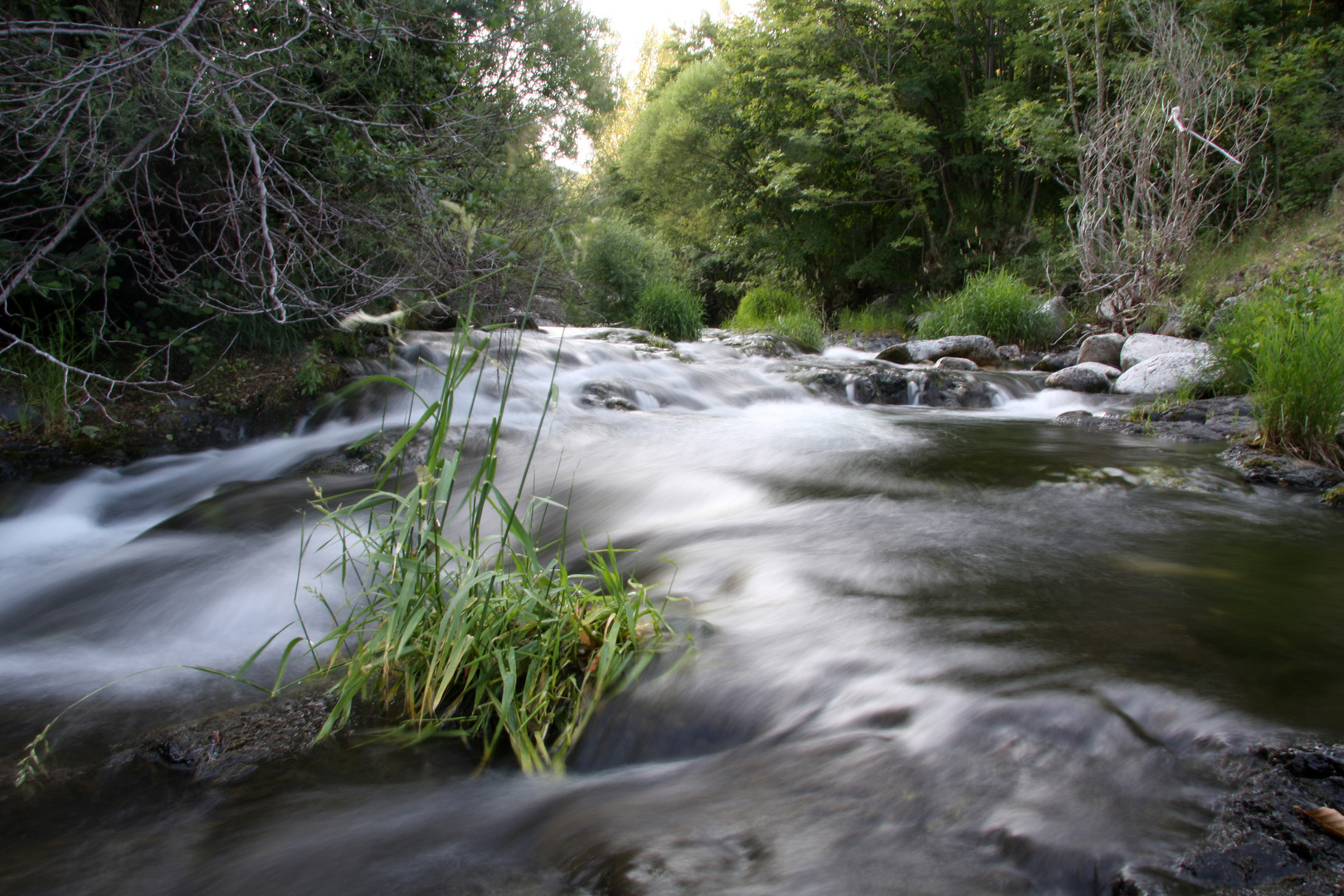 Fluss in der Region Ardéche/Frankreich