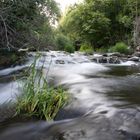 Fluss in der Region Ardéche/Frankreich