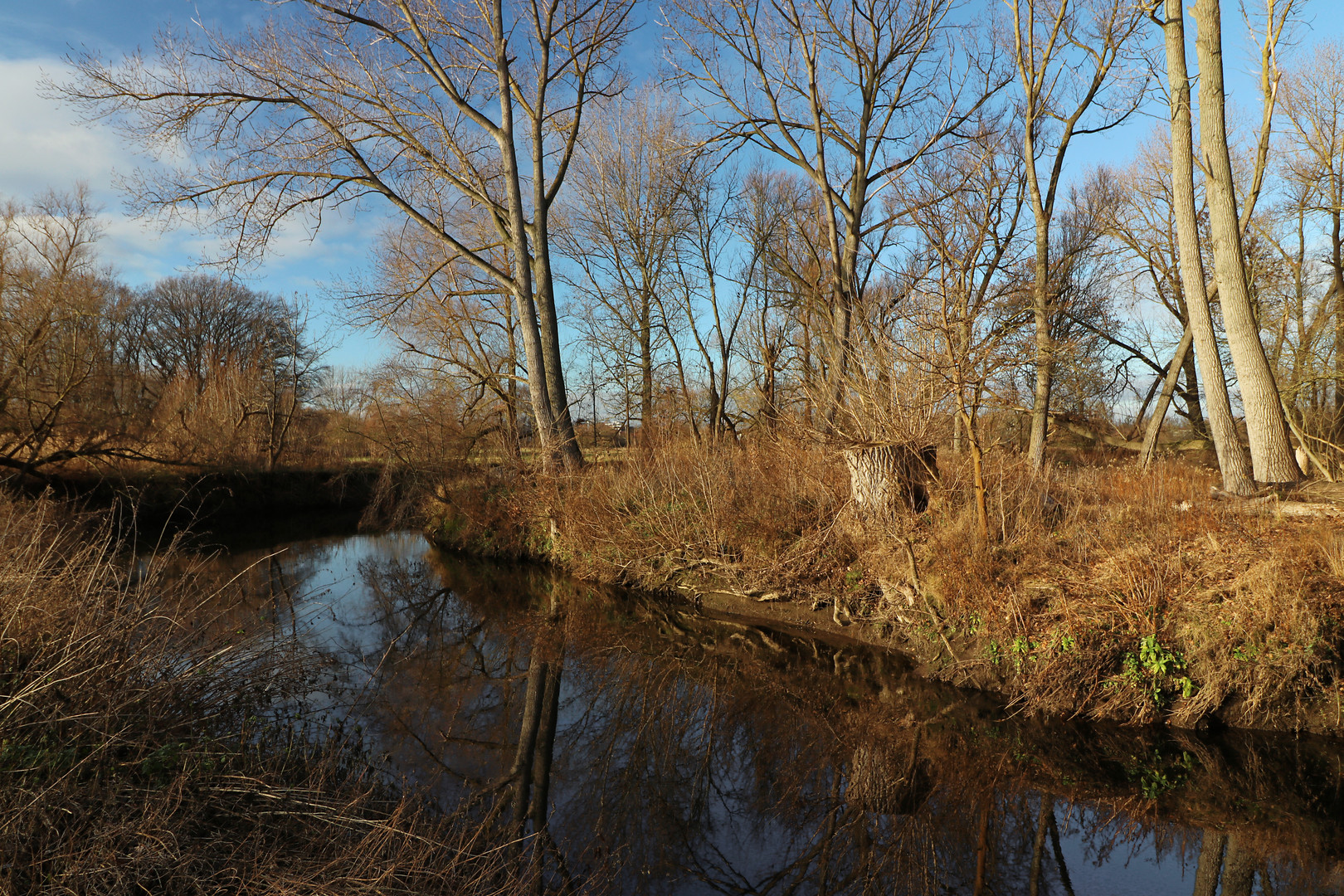 Fluss in der Wintersonne