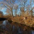 Fluss in der Wintersonne