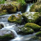 Fluß in Fjordnorwegen / Nähe Vik