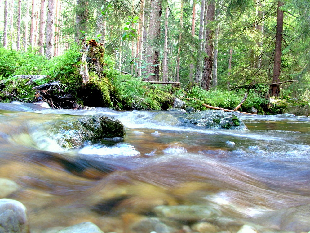 Fluss in Norwegen