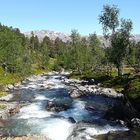 Fluss in Norwegen 