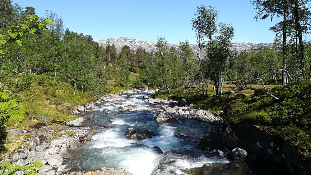 Fluss in Norwegen Foto & Bild