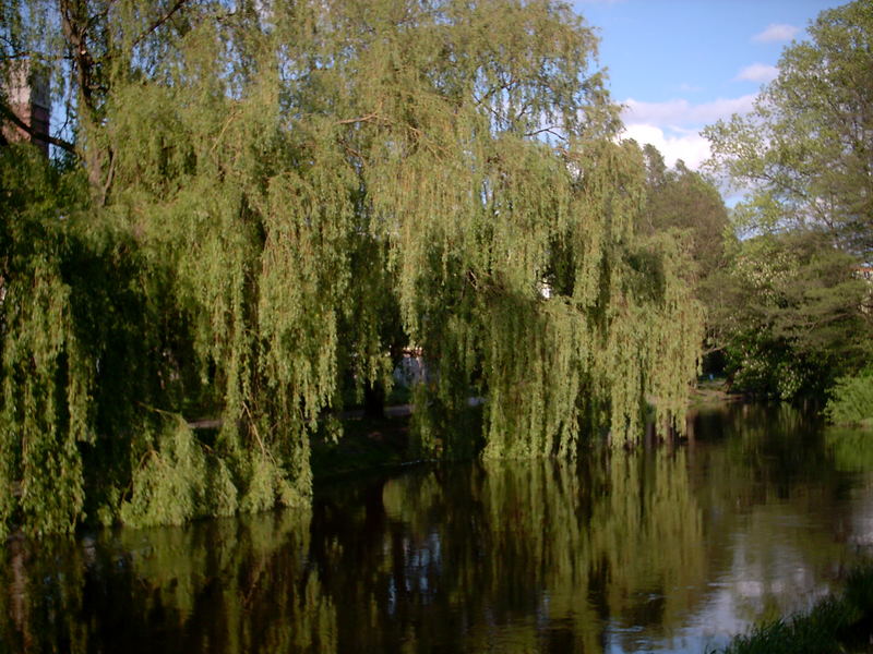 Fluß in Polen