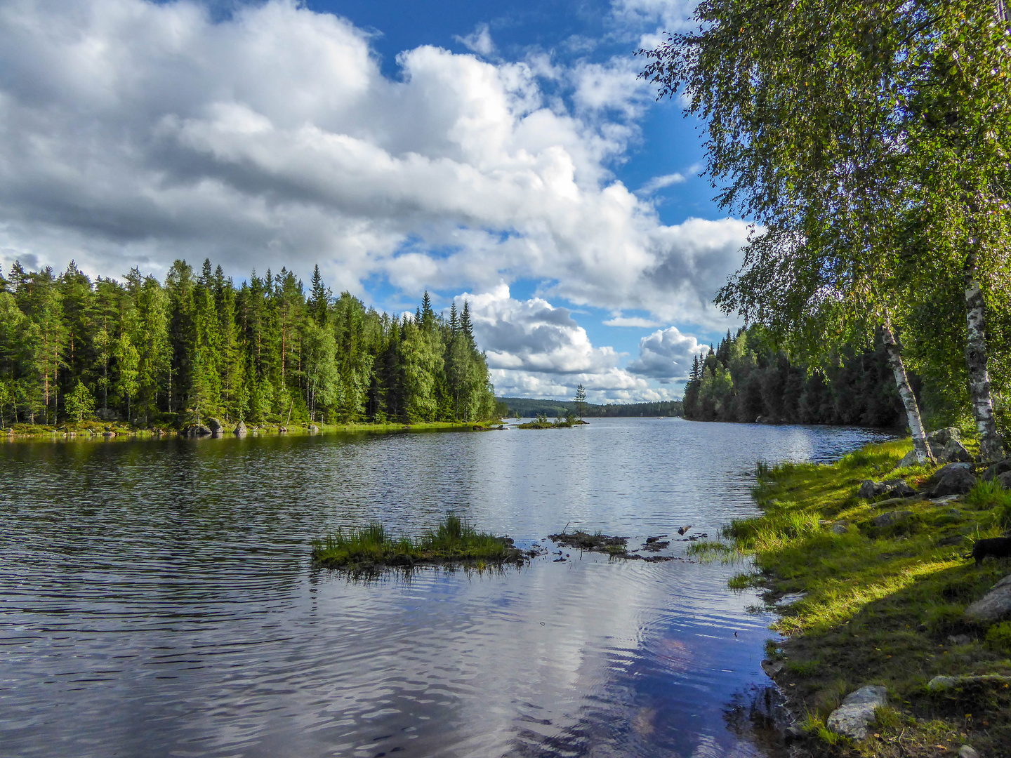 Fluß in Schweden