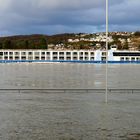 Fluss-Kreuzfahrtschiff auf dem Rhein bei Hochwasser